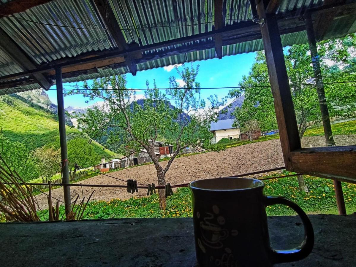 Guesthouse Mamuka Zhabesh Zhabeshi Екстериор снимка
