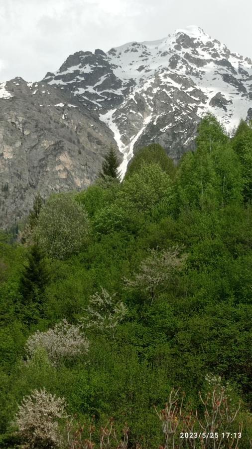 Guesthouse Mamuka Zhabesh Zhabeshi Екстериор снимка