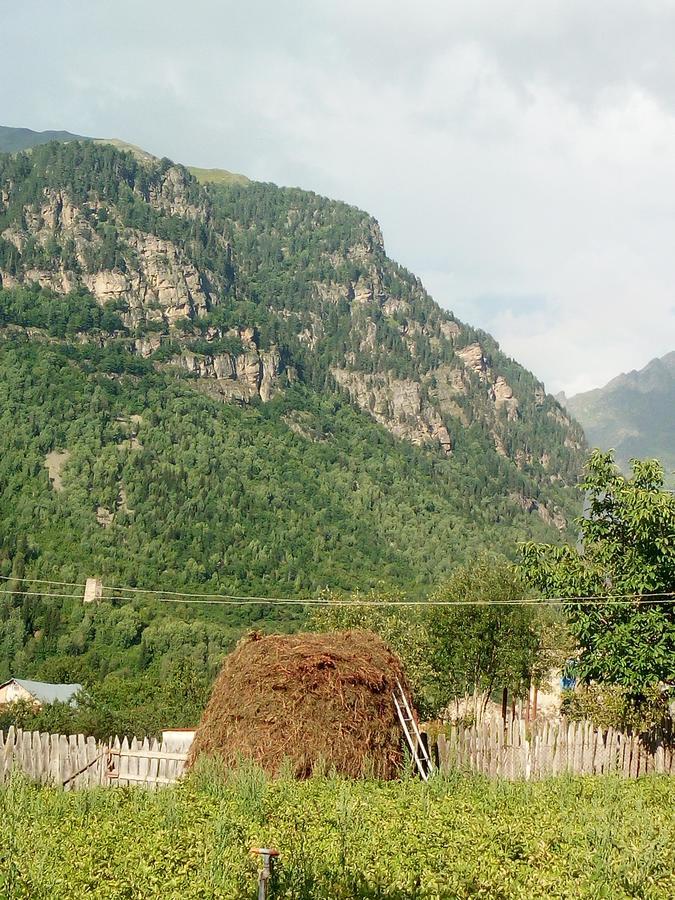Guesthouse Mamuka Zhabesh Zhabeshi Екстериор снимка