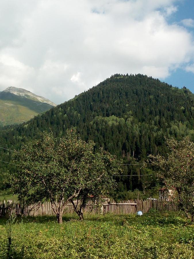 Guesthouse Mamuka Zhabesh Zhabeshi Екстериор снимка